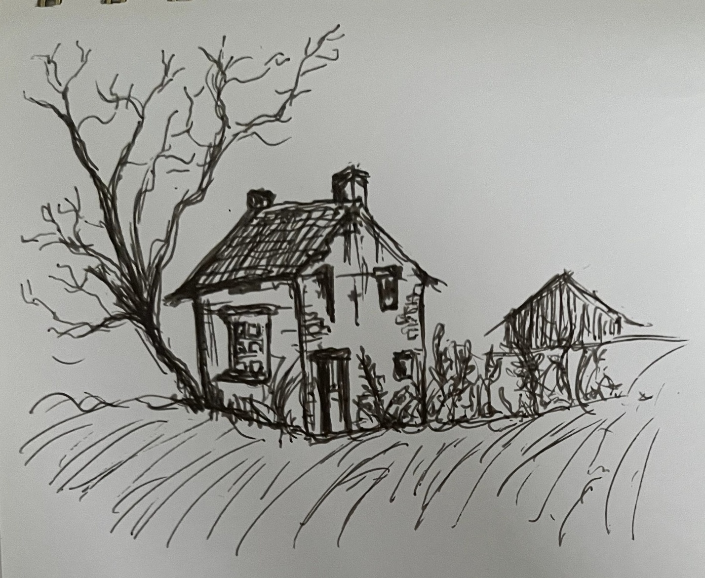 Rustic ink drawing of an old farmhouse in an open field, capturing weathered textures and organic shapes.